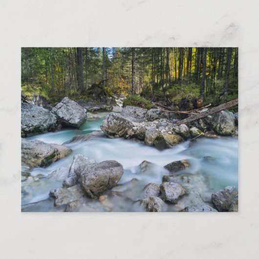 Der Torrent Ramsauer Ache Postkarte (Vorderseite)