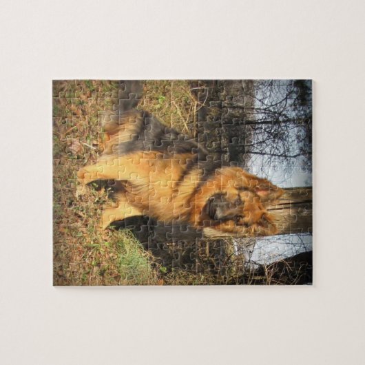Der totalschäferhund puzzle (Horizontal)