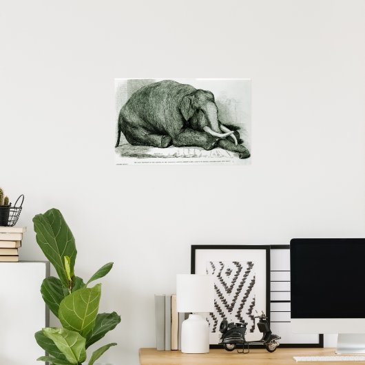 Der tote Elefant Poster (Heimbüro)