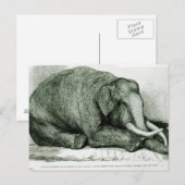 Der tote Elefant Postkarte (Vorne/Hinten)