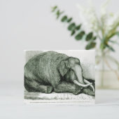 Der tote Elefant Postkarte (Stehend Vorderseite)