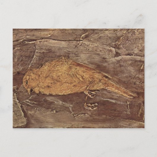 Der tote Vogel Postkarte (Vorderseite)