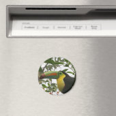Der Toukan im Dschungel Magnet (In Situ (Geschirrspüler))