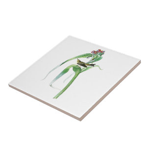 Der Trällerer-John James Audubon-Vögel Amerika d Fliese