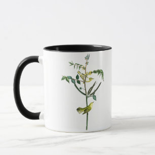 Der Trällerer-Johns Audubon der Kinder Vögel von Tasse