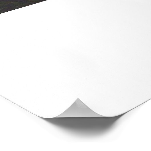 Der Traum von Jakob von Michael Willmann Poster (Ecke)