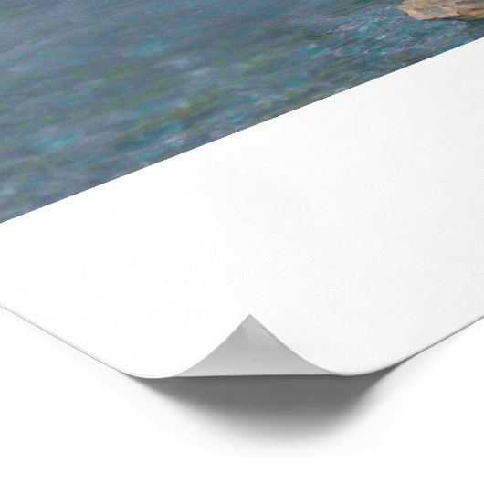 Der Trevi-Brunnen Poster (Ecke)