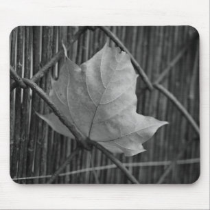 Der trockene Ahornleaf - Mousepad