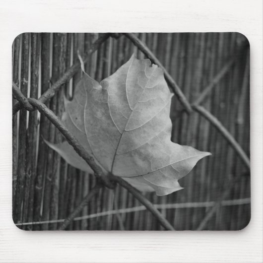 Der trockene Ahornleaf - Mousepad (Vorne)