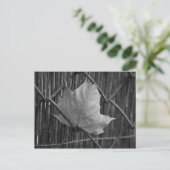Der trockene Ahornleaf - Postkarte (Stehend Vorderseite)
