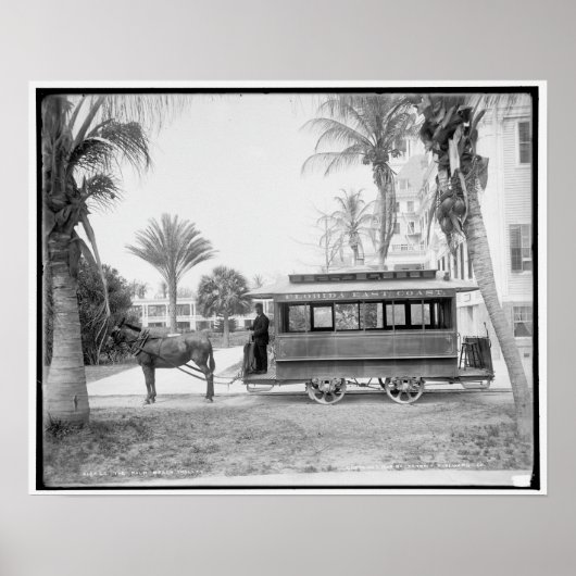 Der Trolley von Palm Beach Poster (Vorne)