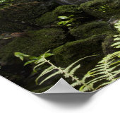 Der tropische botanische Garten ist 33 ha groß (83 Poster (Ecke)