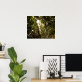 Der tropische Regenwald des Daintree River Poster (Heimbüro)
