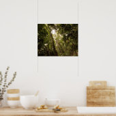 Der tropische Regenwald des Daintree River Poster (Küche)