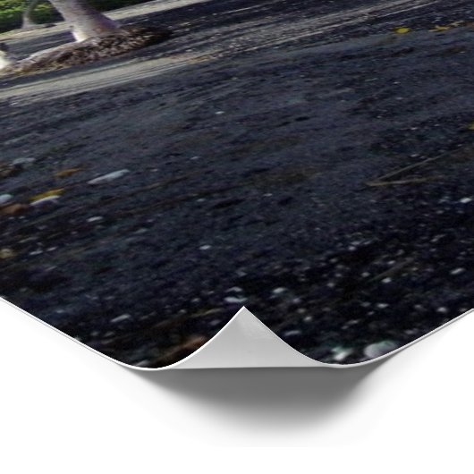 Der tropische schwarze Strand von Hawaii Poster (Ecke)