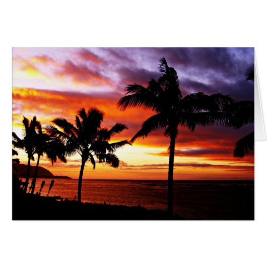 Der tropische Sonnenuntergang (Vorderseite (Horizontal))