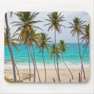 Der tropische Strand mit Palmen Mousepad