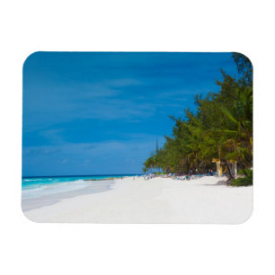 Der tropische Strand von Barbados Magnet