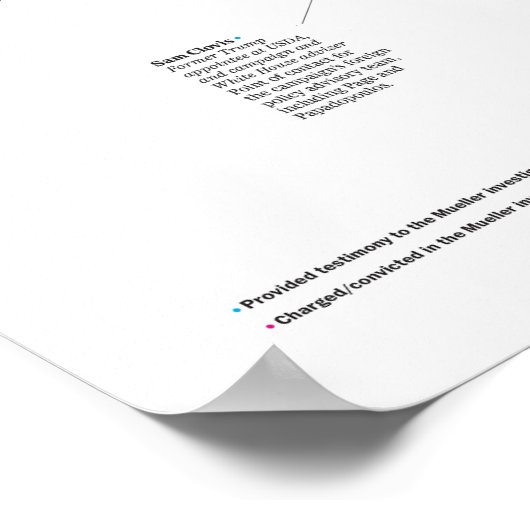 Der Trump-Ring Poster (Ecke)