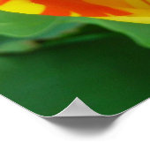 DER TULIP POSTER (Ecke)