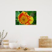 DER TULIP POSTER (Küche)