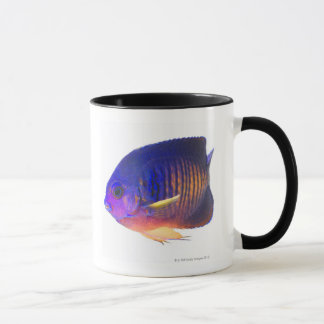 Der two-spined Angelfish Tasse