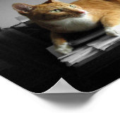 Der Typist Poster (Ecke)