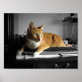 Der Typist Poster