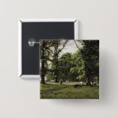 Der Ulmen-Weg Button (Vorne & Hinten)