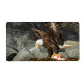 Der ultimative Adler (Vorne)