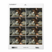 Der ultimative Adler (Vorne)