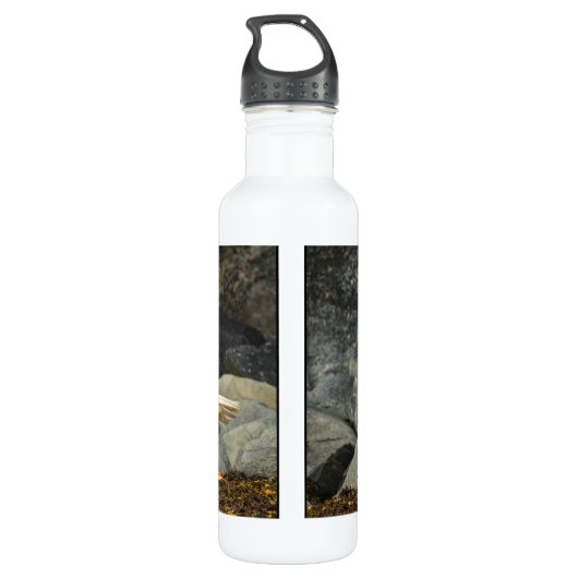 Der ultimative Adler Edelstahlflasche (Rückseite)