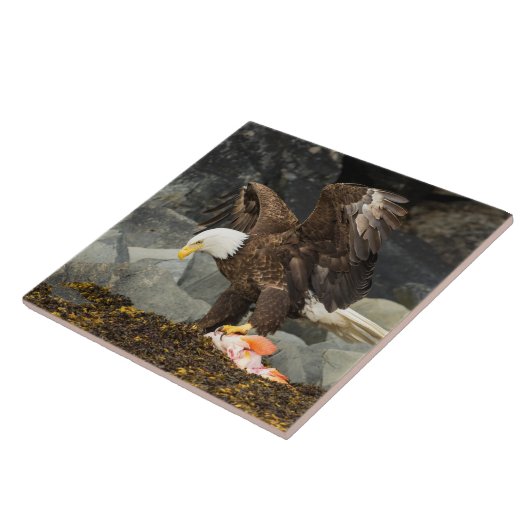 Der ultimative Adler Fliese (Seite)