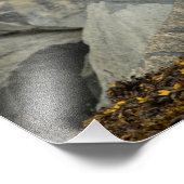 Der ultimative Adler Fotodruck (Ecke)