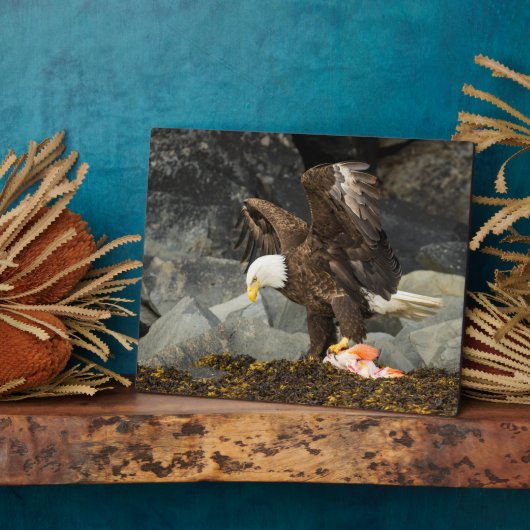 Der ultimative Adler Fotoplatte (Seite)