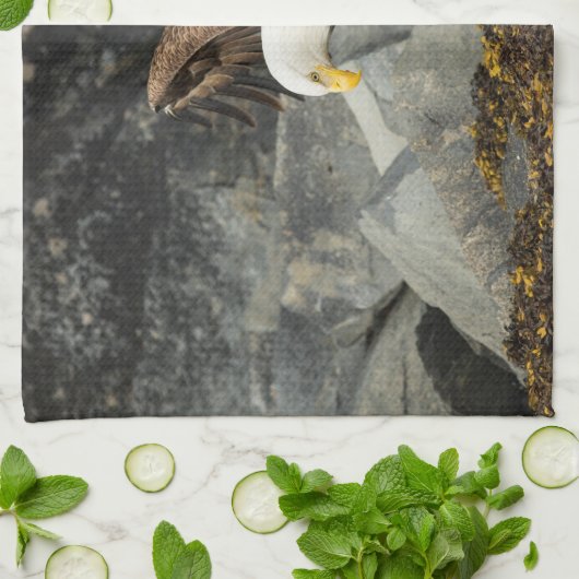 Der ultimative Adler Geschirrtuch (Gefaltet)