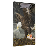 Der ultimative Adler Klemmbrett (Rechts)