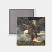 Der ultimative Adler Magnet (Vorderseite/Rückseite)