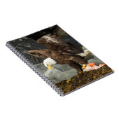 Der ultimative Adler Notizblock (Rechte Seite)