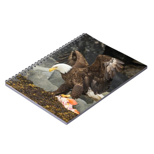 Der ultimative Adler Notizblock (Linke Seite)