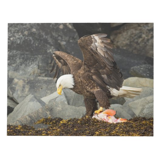 Der ultimative Adler Notizblock (Vorderseite)