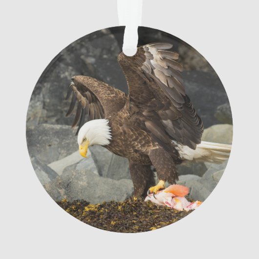 Der ultimative Adler Ornament (Rückseite)