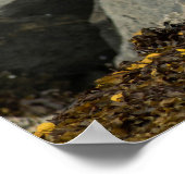 Der ultimative Adler Poster (Ecke)