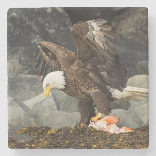 Der ultimative Adler Steinuntersetzer (Vorderseite)