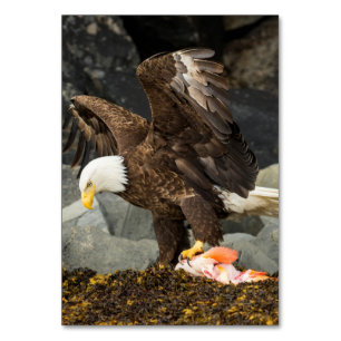 Der ultimative Adler Tischnummer