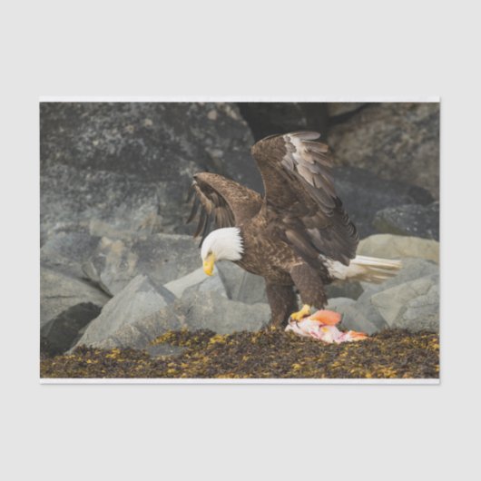 Der ultimative Bald-Adler Seidenpapier (Vorderseite)