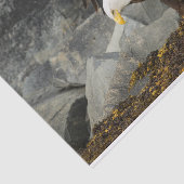 Der ultimative Bald-Adler Seidenpapier (Ausschnitt)