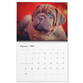 Der ultimative Hundekalender Kalender (Feb 2027)