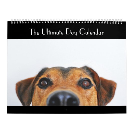 Der ultimative Hundekalender Kalender (Titelbild)