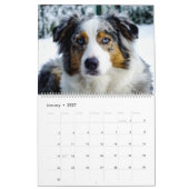Der ultimative Hundekalender Kalender (Jan 2027)